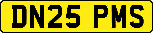 DN25PMS