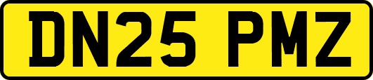 DN25PMZ