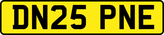 DN25PNE