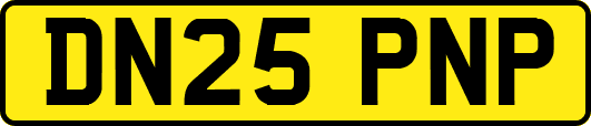 DN25PNP