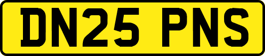 DN25PNS