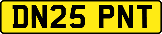 DN25PNT