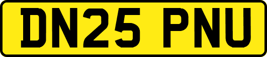 DN25PNU