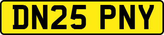 DN25PNY