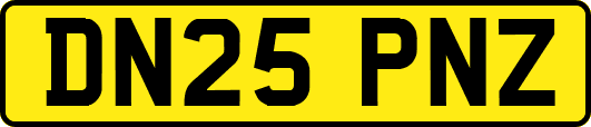 DN25PNZ