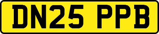 DN25PPB