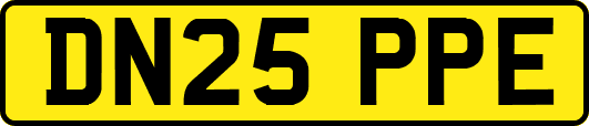 DN25PPE