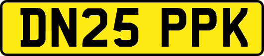 DN25PPK