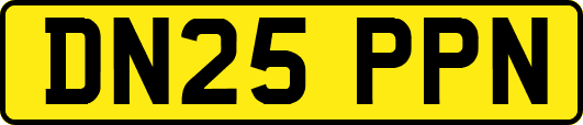 DN25PPN