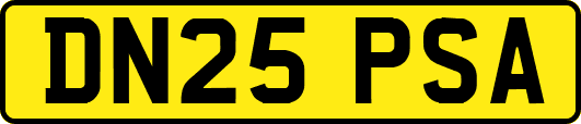 DN25PSA