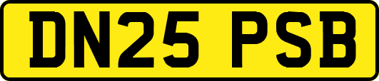 DN25PSB