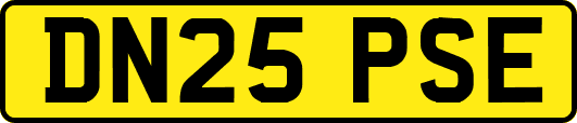 DN25PSE