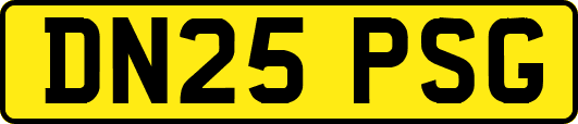 DN25PSG