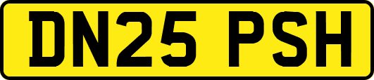 DN25PSH