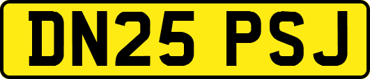 DN25PSJ