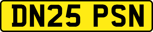 DN25PSN