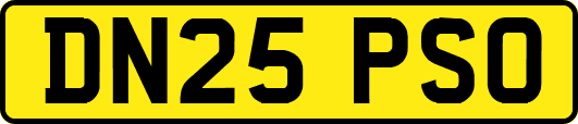 DN25PSO