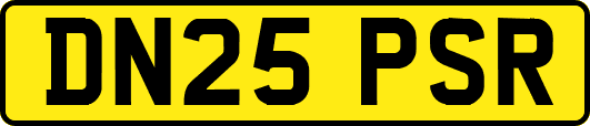 DN25PSR