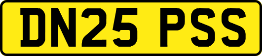 DN25PSS
