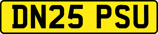 DN25PSU