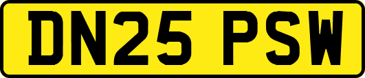 DN25PSW