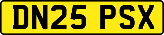 DN25PSX