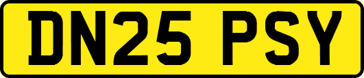 DN25PSY