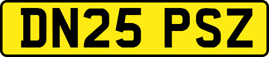 DN25PSZ