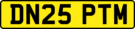 DN25PTM