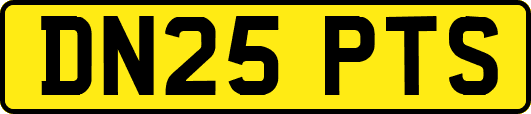 DN25PTS