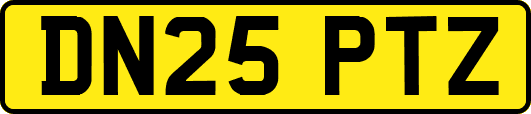 DN25PTZ