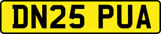 DN25PUA