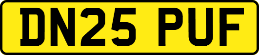 DN25PUF