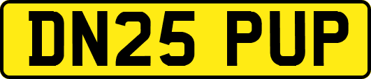 DN25PUP