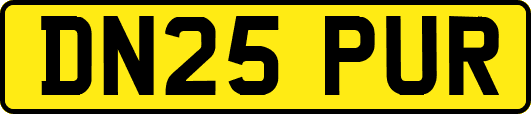 DN25PUR