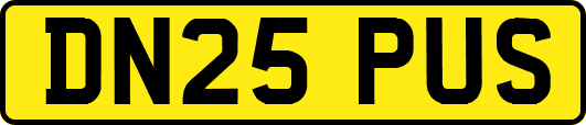DN25PUS