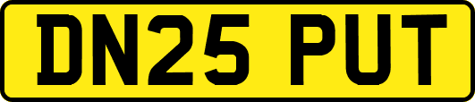 DN25PUT