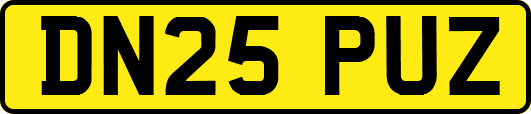 DN25PUZ