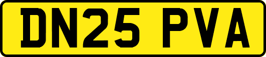 DN25PVA