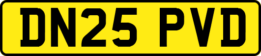 DN25PVD