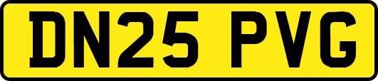 DN25PVG