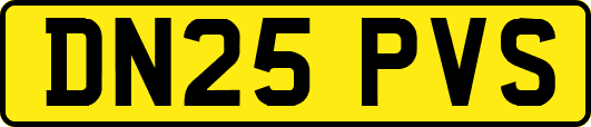 DN25PVS