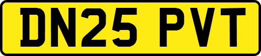 DN25PVT