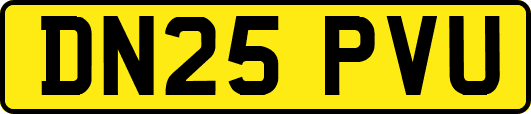 DN25PVU