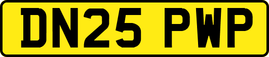 DN25PWP