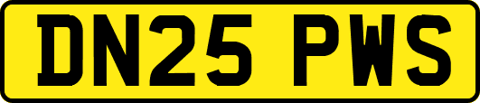DN25PWS