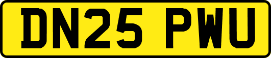 DN25PWU