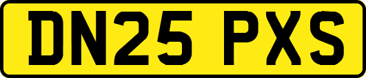 DN25PXS