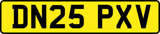 DN25PXV