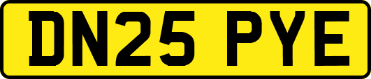 DN25PYE